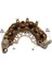 Diot Tablosu Delco Tipi 95 A (Ikaz Diotlu) (114 Mm) (M8 Sağ) 1
