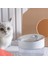 Otomatik Kedi Su Çeşmesi, 2.5L/84OZ Kapalı Ultra Sessiz Sessiz Evcil Hayvan Su Dispenseri, Görünür Seviye Gümüş + Beyaz (Yurt Dışından) 4