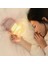 Nordic LED Dinozor Gece Lambası Çocuk Odası Başucu Uyku Lambası Gece Lambası USB Şarjlı Sevimli Işık (Pembe) (Yurt Dışından) 5