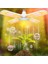 LED Büyüme Işığı Katlanabilir Fito Lamba Tam Spektrum Ampul Iç Mekan Bitkileri Bloom Çiçek Açan Lambalar Bahçe E27 C (Yurt Dışından) 3