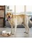 Köpek Kedi Için Isıtmalı Su Kabı Seramik Seyahat Kapları Temel Açık Hava Termal Güvenli Anında Sıcaklık (Yurt Dışından) 2