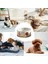 Köpek Kedi Için Isıtmalı Su Kabı Seramik Seyahat Kapları Temel Açık Hava Termal Güvenli Anında Sıcaklık (Yurt Dışından) 5
