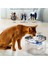Kedi Su Çeşmesi, 68OZ/2L 304 Paslanmaz Çelik Kedi Çeşmesi Kabı, Sessiz Elektrikli Otomatik Evcil Hayvan Dağıtıcısı (Yurt Dışından) 3