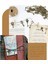 46 Adettakım Mix Kit Eski Görünümlü Retro Antik Pirinç Bronz Dekoratif (Yurt Dışından) 5
