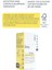 Glow Bomb Multi C Vitamini Thin Kapsül Serum | Aydınlatıcı, Parlatıcı ve Leke Önleyici | Nemlendirici 5