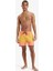 Quiksilver Surfsilk Scallop Volley 16 Erkek Mayo 5