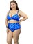 Straplez Bikini Takımı 1