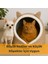 Kedi Evi Köpek Evi Evcil Hayvan Yatağı 40X35X34 cm Katlanabilir Keçe Yuva Krem 4