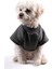 Köpek Kıyafeti Sweat Shırt Gri Ribanalı 4