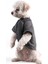 Köpek Kıyafeti Sweat Shırt Gri Ribanalı 5