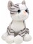 Sevimli Peluş Kedi 28 cm - En Güzel lik 2
