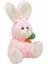 Sevimli Arkadaşım Minik Tavşan 15 Cm. 1