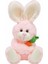 Sevimli Arkadaşım Minik Tavşan 15 Cm. 2