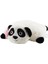 Panda Peluş Oyuncak-Yastık Iki Fonksiyonlu 40CM--SKRADAPELUS134 2