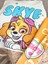 Kız Çocuk Paw Patrol Skye Set 3