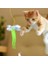 Kelebek Model Elastik Kendinden Yapışkanlı Kedi Oyun Oltası 1