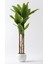 Yapay Muz Ağacı 220 cm Küre Plastik Saksı 1