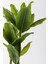 Yapay Muz Ağacı 220 cm Küre Plastik Saksı 3