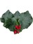 Begonia Elatior 'red' (Katmerli Begonya) 2