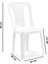 SY-2520 Manolya Plastik Bahçe Sandalye Beyaz 4'lü Set 2