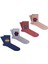 Black Arden Socks Yumuşacık Adımlar Teddy Çorap Rahatlığı 4'lü Renkli Çoraplar 3