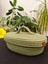 Jüt Hasır Sepet Oval Kapaklı Organizer 30 x 20 2
