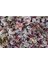 Ajuga 20 Adet - Bordo Renkli Yer Örtücü Bitki 3