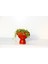 Dostluk Çiçeği 2 Adet - Hediyelik Kırmızı Saksıda Pilea Glauca 2