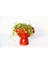 Dostluk Çiçeği 2 Adet - Hediyelik Kırmızı Saksıda Pilea Glauca 4
