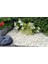 Dolomit Taşı Beyaz 2-4 cm 5 kg Doğal Dekorasyon Taşı 4