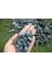 Dolomit Taşı Yeşil 2-4 cm 10 kg Doğal Dekorasyon Taşı 3