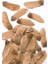 Norveç Akçaağaç Tohumu 40 Adet ( Bonsai Türü ) 4