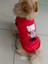 Pembe Ayıcık Aksesuarlı Kırmızı Kedi Köpek Kıyafeti Elbisesi 2