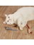 Peluş Fare Kedi Oyuncağı 3 Adet 1