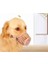 Köpek Koruma Ağızlığı 7'li Set 4