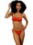 Straplez Bikini Takımı 2