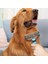 Evcil Hayvan Bakım Fırçası Kıtık Tüy Topak Açıcı Tarak Metal Dişli Kedi Köpek Tarağı 5