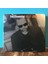 Billy Joel - The Essential Billy Joel - Metal Kutu 2 CD Set - Yabancı CD 1