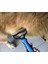 Kedi Köpek Tüy Tarağı Evcil Hayvan Metal Topak Açıcı Kıtık Toplama Bakım Tarağı 3