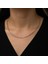 Özel Kutu ve Gümüş Bezi Ile Gümüş Omega Choker Zincir 2