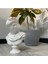 Apollo Büst Antik Yunan Heykel 25 cm Michelangelo Apollon Büstü 3