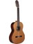 N400+ Klasik Gitar 1