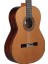 N400+ Klasik Gitar 5