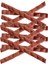 Avida 2X12LI Balıklı Kedi Ödül Yumuşacık Sticks, Cado Sığır Etli 3lü Punch Islak Mama 4