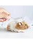 Hamster ve Tavşan Için Masaj Tarağı 1
