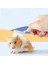 Hamster ve Tavşan Için Masaj Tarağı 3