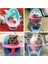 Hamster Için Mini Mama Sandalyesi 2