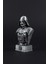 Darth Vader - Star Wars - Figür / Büst - 30CM 2
