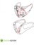 Unisex Koruyucu Maske Nokta Desen L 2