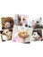 Köpek Koruma Ağızlığı 7 Li Set 2